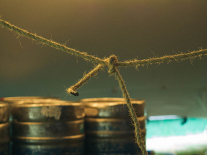 Kid Creole & The Coconuts @ Vamos! Festival